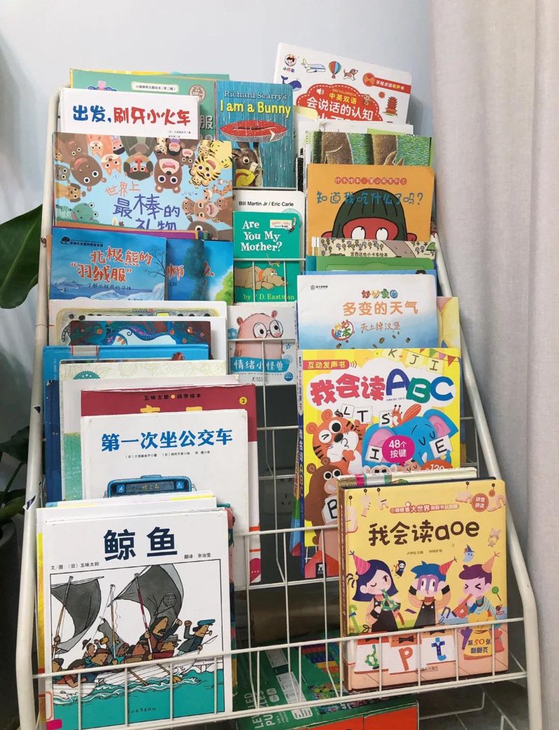 绘本阅读指导：让孩子们在故事中成长